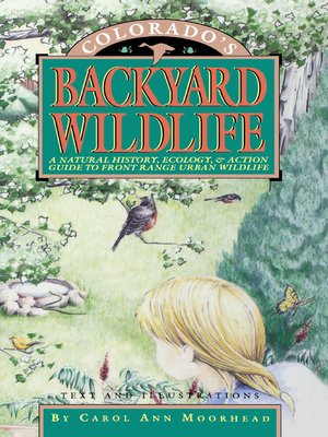 cover image of Colorado's Backyard Wildlife